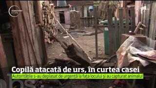 Scene terifiante, la Mureş! O fetiţă a ajuns la spital, după ce a fost ATACATĂ DE URS în timp ce se juca prin curte