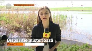 DISPARIŢIE misterioasă. Un MARTOR într-un dosar de CRIMĂ, de negăsit!