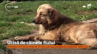 Şi-a găsit SFÂRŞITUL în colţii câinelui ! O femeie a murit, după ce a fost ATCATĂ de căţelul pe care îl ţinea în curte