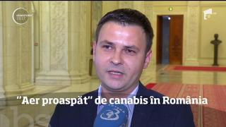 Petiţie online pentru legalizarea consumului de canabis în România
