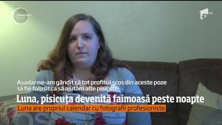 O pisicuţă faimoasă îşi ajută stăpânii să înfiinţeze o asociaţie pentru animalele fără adăpost