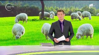 Sărbătoare mare la Satu Mare! Mii de oameni au participat la Sâmbra Oilor