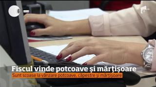 Agenţia Judeţeană a Finanţelor Publice Argeş a scos la vânzare mai multe bunuri conficate de la începutul anului!