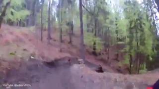 Imagini terifiante: Un biciclist a fost fugărit de un urs pe un drum forestier VIDEO