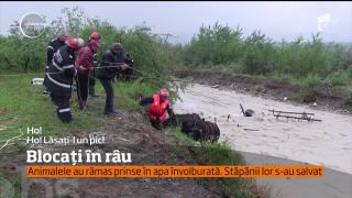 Doi bărbaţi din Prahova au fost la un pas de înec!