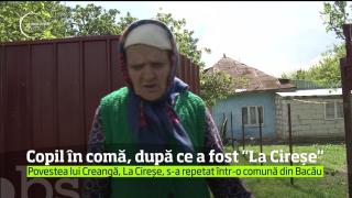 Incident grav în Bacău! Copil de 11 ani în comă, după ce a fost prins la furat de cireşe