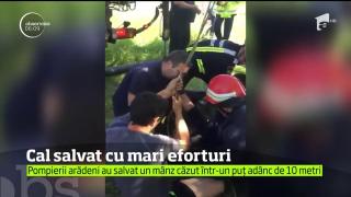Misiune emoţionantă la Arad! Pompierii au fost chemaţi să salveze un cal căzut într-o fântână (VIDEO)