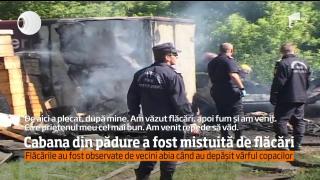 Albinele au scăpat ca prin minune. O cabană aflată lângă stupi, la Arad, a fost făcută scrum de un incendiu violent