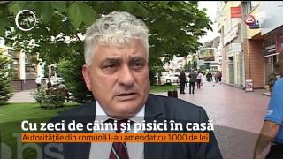 Vecinii au ajuns în pragul disperării! Un pensionar din Rovinari creşte 25 de câini!