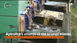 Vremea capricioasă SCUMPEŞTE MIEREA! Preţul la cea de salcâm va creşte cu 40%