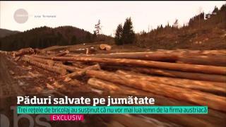 Activiştii de mediu acuză: LEMN  tăiat în CONDIŢII SUSPECTE se vinde încă în marile magazine de la noi din ţară!