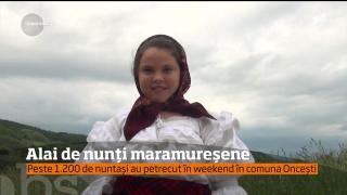 Festivalul Nunţilor Tradiţionale din Maramureș!  Zeci de miri au prezentat mândri constumele tradiţionale