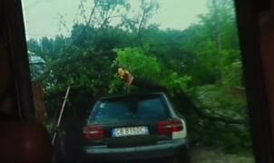 Pagube uriaşe după tornada de luni, de la Făcăieni