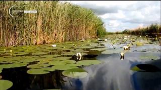 Delta Dunării și Spania, printre preferatele românilor în minivacanţa de Rusalii!