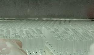 INCREDIBIL! E epidemie de rujeolă, criză de vaccinuri, dar Ministerul Sănătăţii nu pare să ştie cum să rezolve situaţia