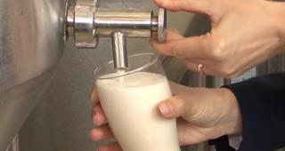 Românii iubesc berea. În 2016, au consumat la fel de multă ca în 2015