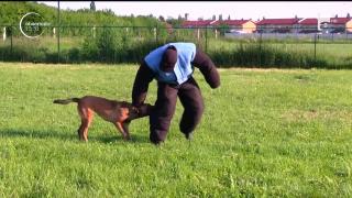 Tânăr din Oradea, campion la dresaj canin. Performanţele sale, alături de câinele său, sunt istorice!