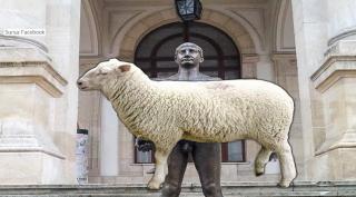 Oaia a ajuns superstar pe internet, după ce a fost propusă ca brand de ţară