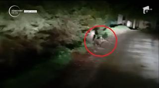 Urşii înfometaţi dau iama în gospodăriile de la munte. Autorităţile din staţiunea Cheia sunt în alertă