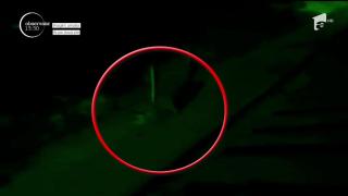 O ursoaică a decis că e în regulă să se plimbe prin Braşov!