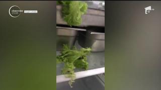 Patronul unei autoserviri din Mamaia a ajuns la spital, după ce s-au descoperit în unitatea alimentară 200 de kg. de carne stricată