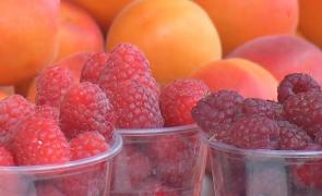 Fructe de sezon, la preţuri de lux. Un kilogram de zmeură sare de 100 de lei