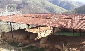 Patru cehi au venit în România ca turişti şi au plecat îmbogăţiţi cu piese de patrimoniu sustrase din cetăţile dacice