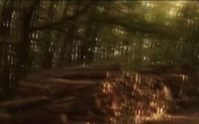 Moarte suspectă la Sălaj. Un adolescent de 15 ani a fost găsit spânzurat, într-o pădure