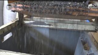 Au descoperit cheia succesului! O familie din Haţeg şi-a schimbat viaţa, inventând uleiul presat la rece