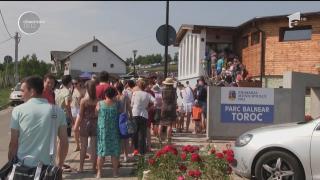 Coadă pentru baie la ștrandul din Dej! Oamenii au așteptat ZECI DE MINUTE la rând, să își ia brățara de acces