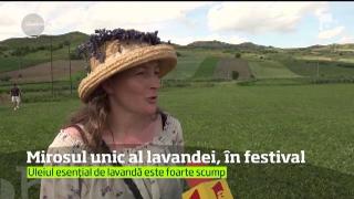 Sărbătoare mare la Cecheşti la Festivalul Lavandei, ajuns la cea de-a doua ediţie