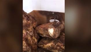 Inspectorii OPC au dat lovitura verii la plăcinte. O patiserie renumită, din Mamaia, a primit cea mai mare amendă din acest sezon estival