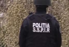 Descoperire şoc la Constanţa! Zeci de flacoane de pastile au fost găsite în casa studentului american care ar fi drogat şi violat doi tineri din Medgidia (VIDEO)