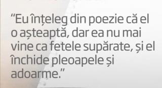 Nelipsitele PERLE de la BAC! "Eul liric e trist şi pare să aibă boli nesfârşite"