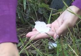 Furtuni violente lovesc România! O familie cu doi copii a rămas sub cerul liber, la Bistriţa. Vijelia a dărâmat crucea unei biserici