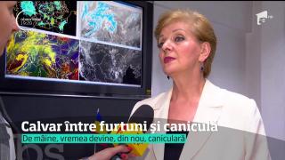 Vreme la EXTREME! O VIJELIE de nici jumătate de oră a adus PRĂPĂDUL în Bistriţa Năsăud!