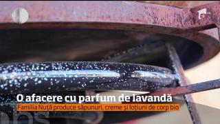 O afacere cu parfum de lavandă! Tot mai mulţi tineri sunt interesaţi să facă din asta o afacere!