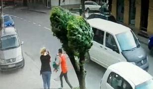 Natura s-a dezlănțuit la Dej: blocuri rămase fără acoperiș și mașini distruse