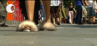 Şlapii cu blăniţă au isterizat România. Pe internet, glumele despre modă verii nu se mai opresc