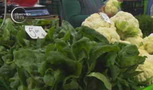 Meniul de caniculă! Brânza, roşiile şi salata le-au luat locul mititeilor
