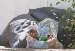 Canicula nu doar ne topeşte, ci ne şi expune unor riscuri uriaşe de infecţii