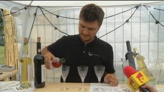 Cele mai bune crame româneşti şi-au dat întâlnire la iarbă verde, în Capitală