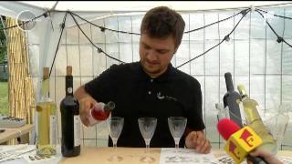 Observator de weekend