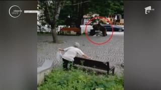 Imagini de infarct la Tușnad: cu un gest neașteptat, un urs uriaș ajuns pe străzile stațiunii pune pe fugă trecătorii