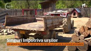 Decizie STRANIE a unui bărbat din Argeș, care a simțit FIORUL MORȚII după ce s-a aruncat în fața URSULUI să salveze PORCUL vecinei