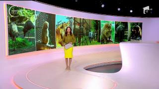 Studenţi ai Facultăţii de Zootehnie, practică inedită în timpul vacanţei de vară