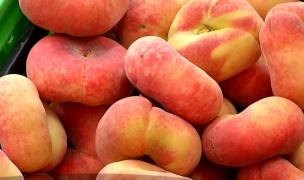 Piersicile de Paraguay, preferate de marile magazine pentru aspectul lor. Fructele agricultorilor români ajung la gunoi