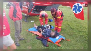 Un bărbat a ajuns în stare gravă la spital, după ce l-a muşcat o viperă, în Retezat. Este al treilea caz în numai câteva zile