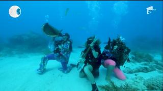 A fost petrecere sub apă în Cheile Floridei. Costumaţi în sirene, peşti şi alte creaturi acvatice, scafandrii au făcut spectacol
