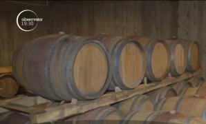 Turismul viticol câştigă teren în România. Românii sunt tot mai interesaţi de vacanţele la crame